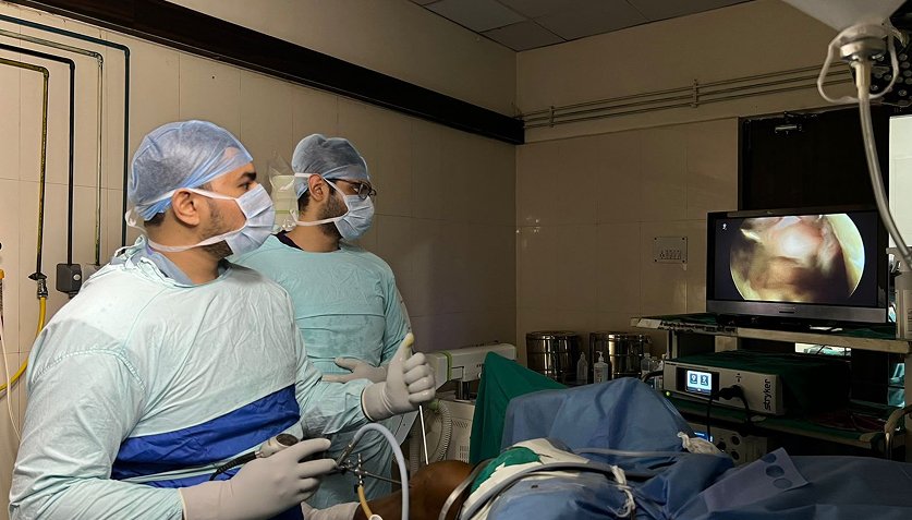 Knee Arthroscopy and Sports Injury Treatment